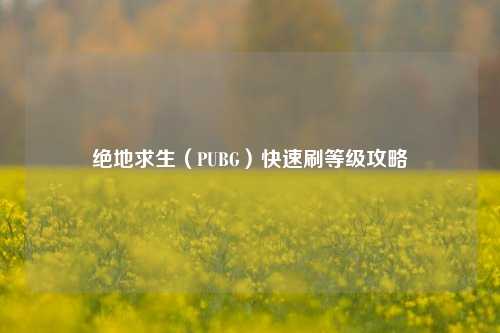 绝地求生(PUBG)快速刷等级攻略