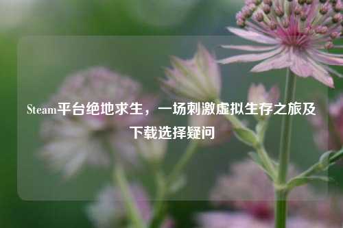 Steam平台绝地求生，一场刺激虚拟生存之旅及下载选择疑问