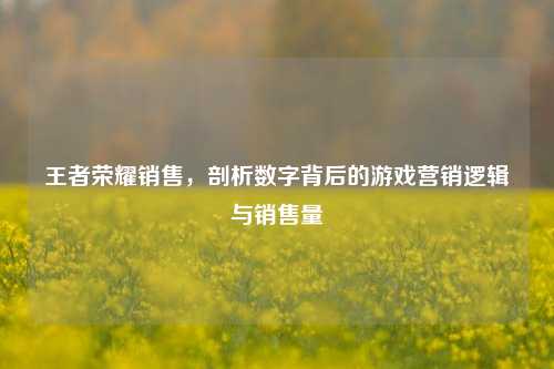 王者荣耀销售,剖析数字背后的游戏营销逻辑与销售量