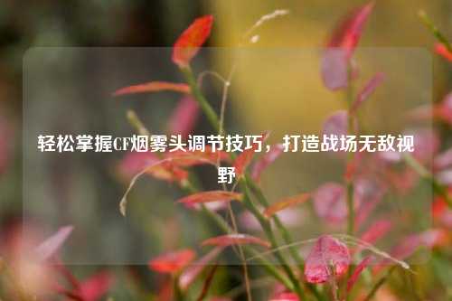 轻松掌握CF烟雾头调节技巧,打造战场无敌视野