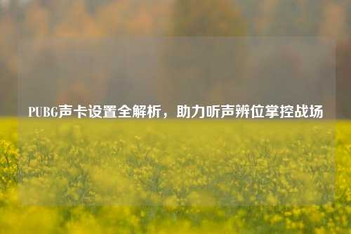 PUBG声卡设置全解析，助力听声辨位掌控战场