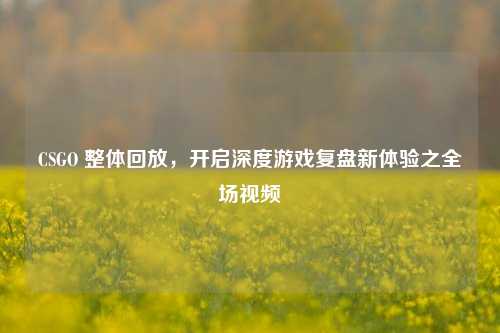 CSGO 整体回放,开启深度游戏复盘新体验之全场视频