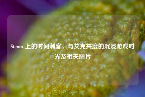 Steam 上的时间刺客，与艾克共度的沉浸游戏时光及相关图片