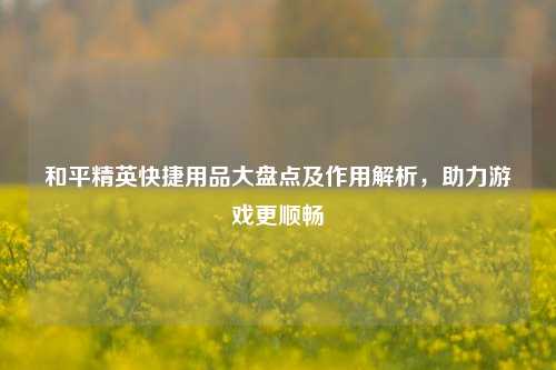 和平精英快捷用品大盘点及作用解析,助力游戏更顺畅