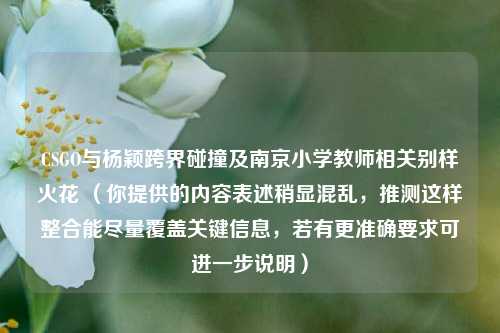 CSGO与杨颖跨界碰撞及南京小学教师相关别样火花 (你提供的内容表述稍显混乱,推测这样整合能尽量覆盖关键信息,若有更准确要求可进一步说明)