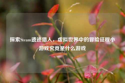 探索Steam遗迹猎人,虚拟世界中的冒险征程小游戏究竟是什么游戏