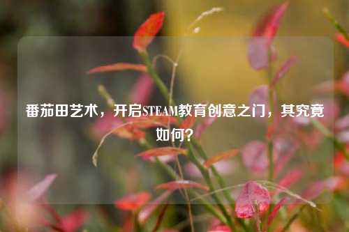 番茄田艺术，开启STEAM教育创意之门，其究竟如何？