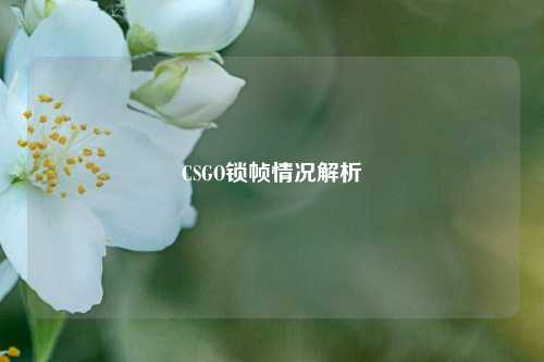 CSGO锁帧情况解析