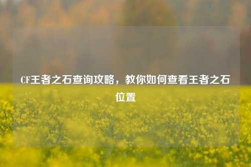 CF王者之石查询攻略，教你如何查看王者之石位置