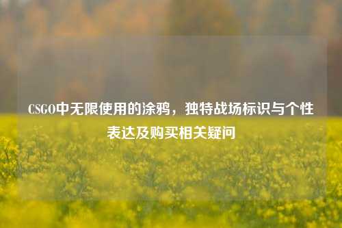 CSGO中无限使用的涂鸦,独特战场标识与个性表达及购买相关疑问