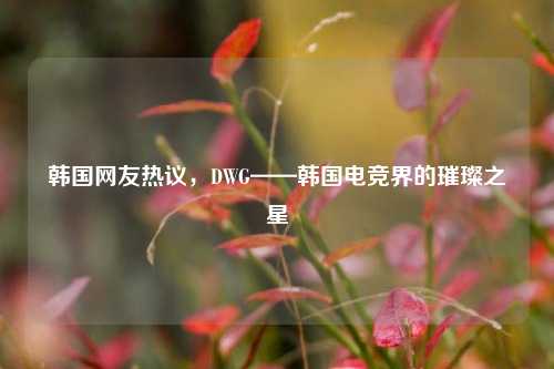 韩国网友热议,DWG——韩国电竞界的璀璨之星