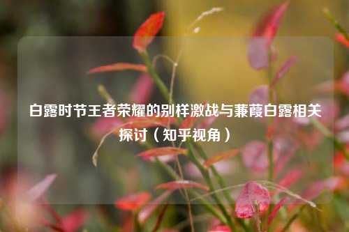白露时节王者荣耀的别样激战与蒹葭白露相关探讨(知乎视角)