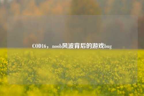 COD16,noob风波背后的游戏bug