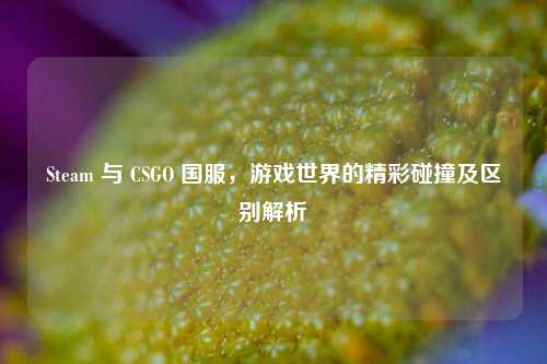 Steam 与 CSGO 国服,游戏世界的精彩碰撞及区别解析