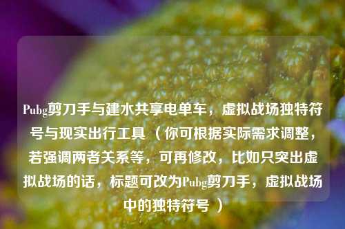 Pubg剪刀手与建水共享电单车,虚拟战场独特符号与现实出行工具 (你可根据实际需求调整,若强调两者关系等,可再修改,比如只突出虚拟战场的话,标题可改为Pubg剪刀手,虚拟战场中的独特符号 )