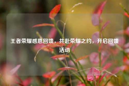 王者荣耀感恩回馈,共赴荣耀之约,开启回馈活动