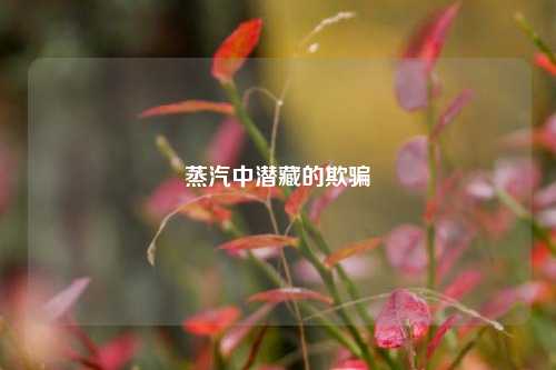 蒸汽中潜藏的欺骗