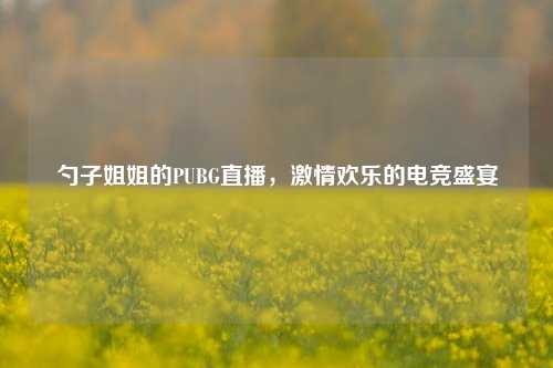 勺子姐姐的PUBG直播,激情欢乐的电竞盛宴