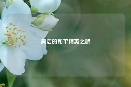 昊浩的和平精英之旅