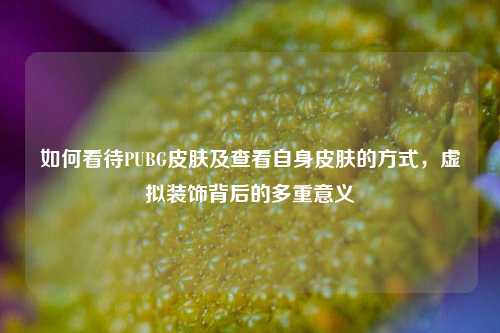 如何看待PUBG皮肤及查看自身皮肤的方式,虚拟装饰背后的多重意义