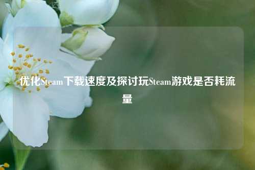 优化Steam下载速度及探讨玩Steam游戏是否耗流量