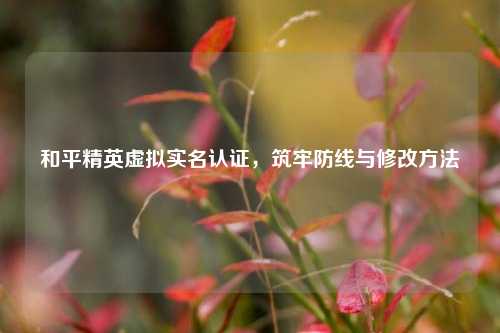 和平精英虚拟实名认证,筑牢防线与修改方法