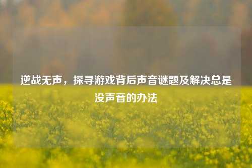 逆战无声,探寻游戏背后声音谜题及解决总是没声音的办法
