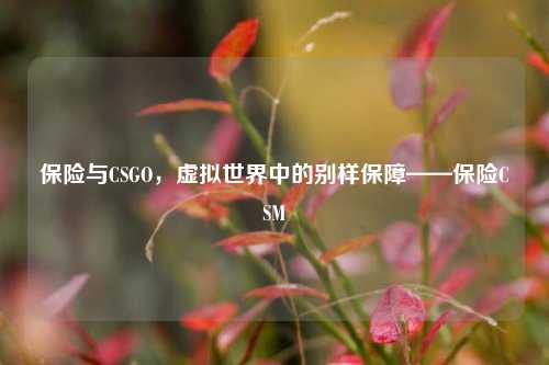 保险与CSGO,虚拟世界中的别样保障——保险CSM