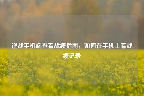 逆战手机端查看战绩指南,如何在手机上看战绩记录