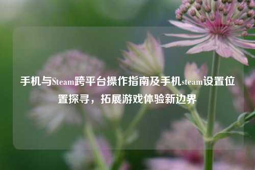 手机与Steam跨平台操作指南及手机steam设置位置探寻，拓展游戏体验新边界