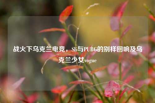 战火下乌克兰电竞,Sli与PUBG的别样回响及乌克兰少女vogue