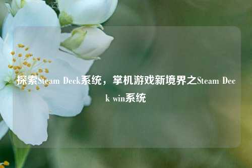探索Steam Deck系统,掌机游戏新境界之Steam Deck win系统