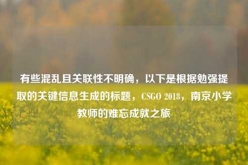 有些混乱且关联性不明确,以下是根据勉强提取的关键信息生成的标题,CSGO 2018,南京小学教师的难忘成就之旅