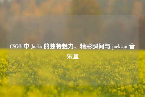 CSGO 中 Jacks 的独特魅力、精彩瞬间与 jackson 音乐盒