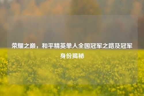 荣耀之巅，和平精英单人全国冠军之路及冠军身份揭秘