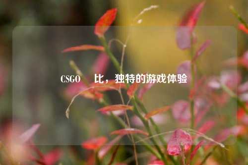 CSGO 挼比,独特的游戏体验