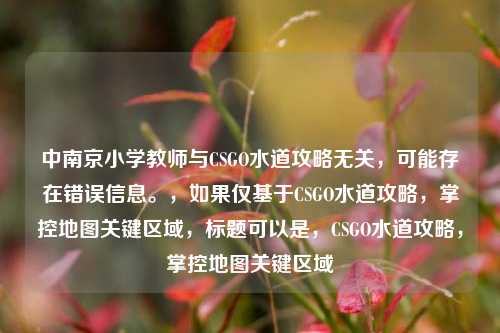 中南京小学教师与CSGO水道攻略无关,可能存在错误信息。,如果仅基于CSGO水道攻略,掌控地图关键区域,标题可以是,CSGO水道攻略,掌控地图关键区域