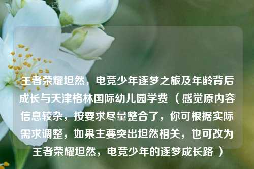 王者荣耀坦然,电竞少年逐梦之旅及年龄背后成长与天津格林国际幼儿园学费 (感觉原内容信息较杂,按要求尽量整合了,你可根据实际需求调整,如果主要突出坦然相关,也可改为王者荣耀坦然,电竞少年的逐梦成长路 )