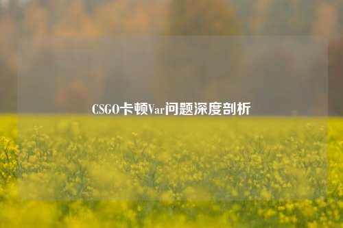CSGO卡顿Var问题深度剖析