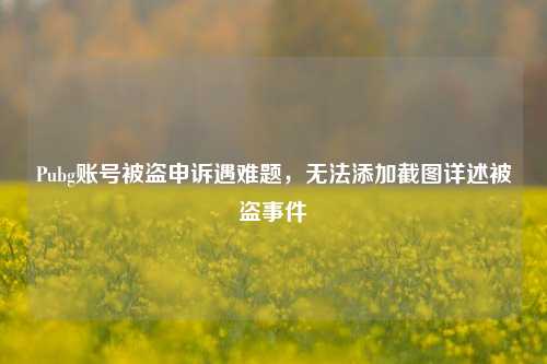 Pubg账号被盗申诉遇难题，无法添加截图详述被盗事件