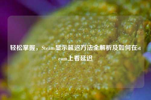 轻松掌握,Steam显示延迟方法全解析及如何在steam上看延迟
