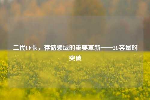 二代CF卡,存储领域的重要革新——2G容量的突破