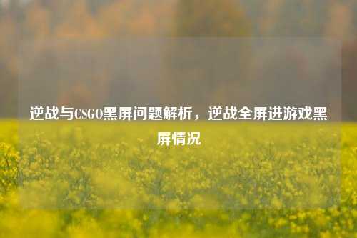 逆战与CSGO黑屏问题解析,逆战全屏进游戏黑屏情况