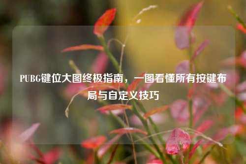 PUBG键位大图终极指南,一图看懂所有按键布局与自定义技巧