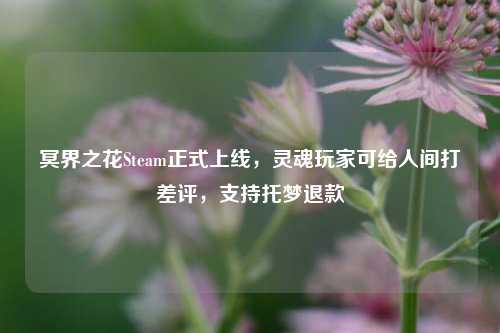 冥界之花Steam正式上线,灵魂玩家可给人间打差评,支持托梦退款