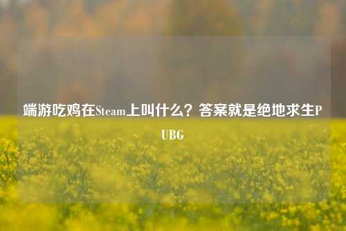 端游吃鸡在Steam上叫什么？答案就是绝地求生PUBG
