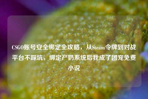 CSGO账号安全绑定全攻略,从Steam令牌到对战平台不踩坑,绑定产奶系统后我成了团宠免费小说
