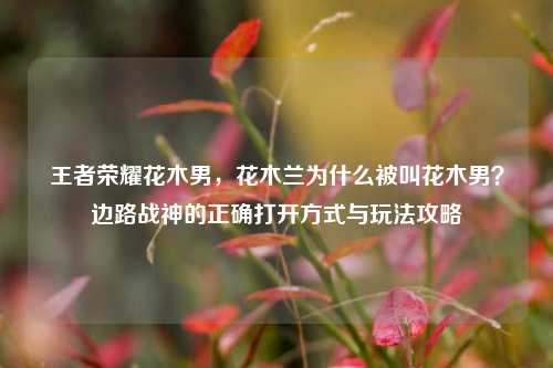 王者荣耀花木男,花木兰为什么被叫花木男?边路战神的正确打开方式与玩法攻略