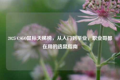 2025 CSGO鼠标天梯榜，从入门到毕业，职业哥都在用的选鼠指南