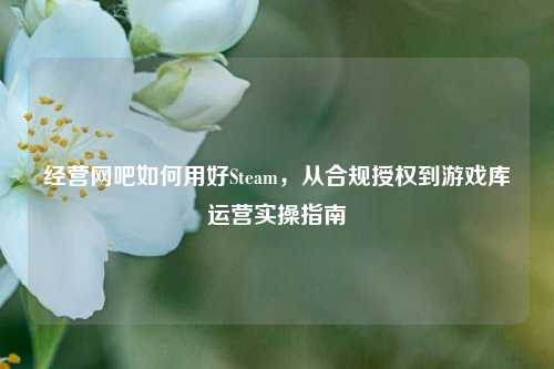 经营网吧如何用好Steam,从合规授权到游戏库运营实操指南